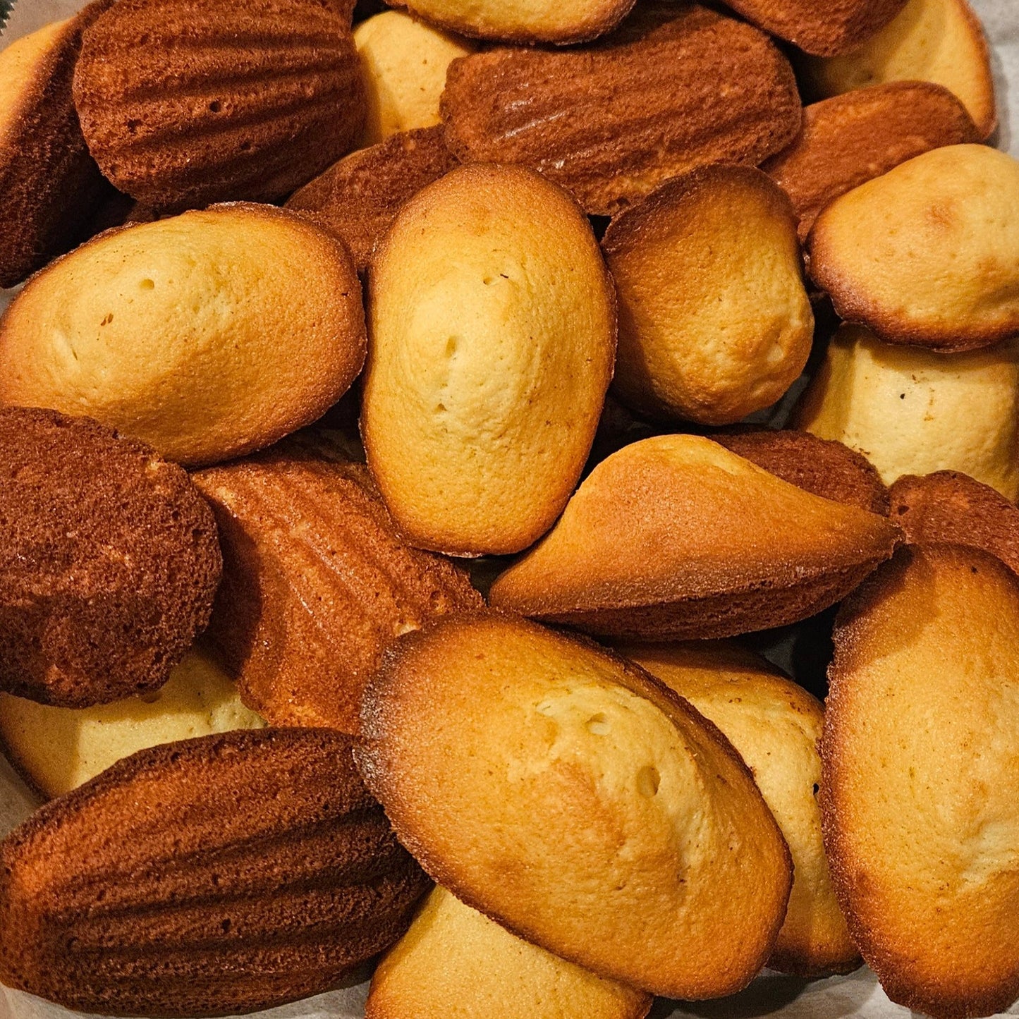 Madeleine x12 (regular size)